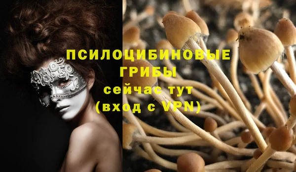 COCAINE Нязепетровск