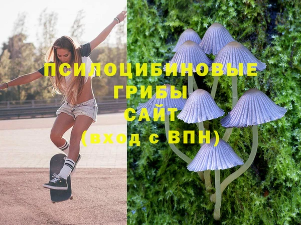 кокс Няндома