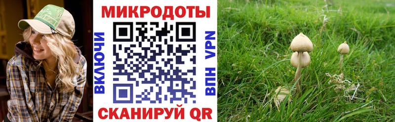 купить наркоту Саранск Псилоцибиновые грибы GOLDEN TEACHER