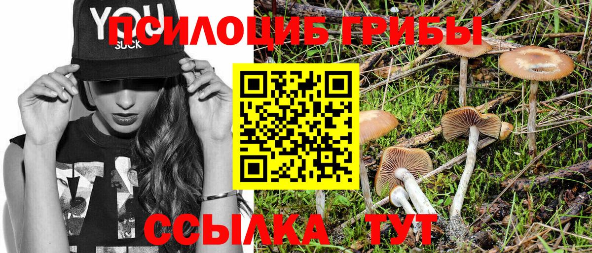 Галлюциногенные грибы Psilocybine cubensis  Псилоцибиновые грибы мицелий  Саранск  хочу   Вход с VPN 