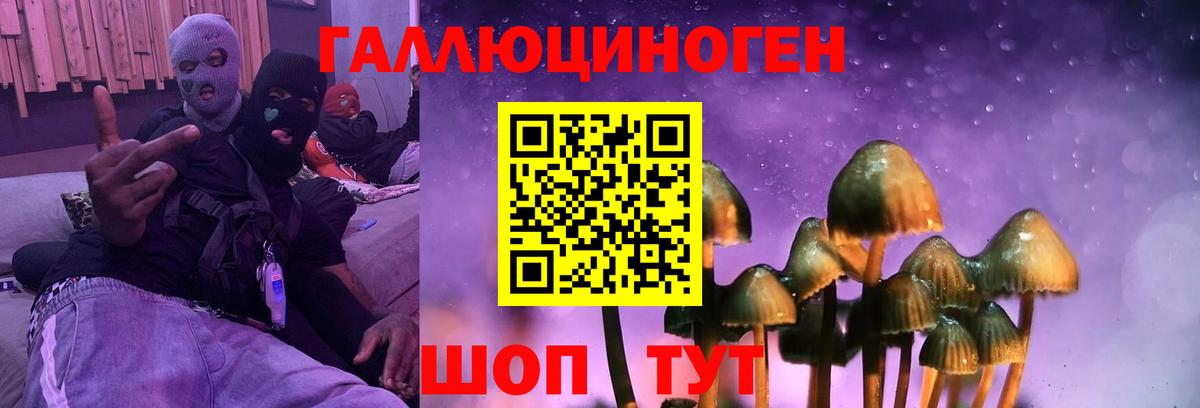 Псилоцибиновые грибы MAGIC MUSHROOMS Саранск